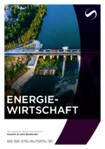 LOZANO_BF_2024-04_DE_Energiewirtschaft.pdf