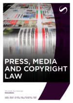 LOZANO_BF_2024-04_EN_Press-Media-and-Copyright-law.pdf