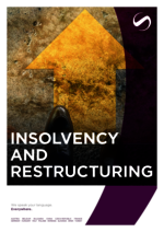 LOZANO_BF_2024-04_EN_Insolvency-and-Restructuring.pdf
