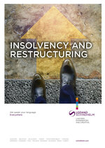 LOZANO_BF_Insolvency-and-Restructuring_web_en.pdf